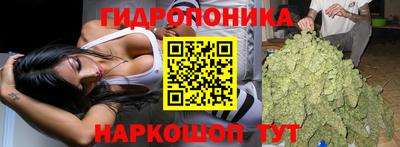 2c-b Кунгур