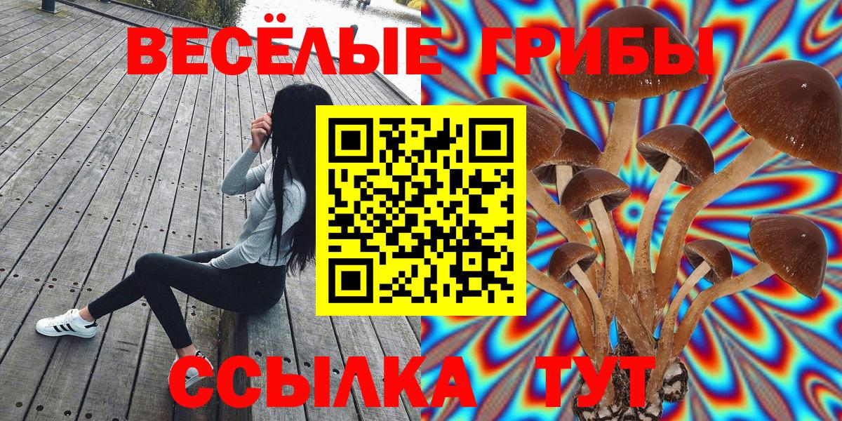 Галлюциногенные грибы мицелий  Вход с VPN  как найти   Псилоцибиновые грибы Magic Shrooms  Гусиноозёрск 
